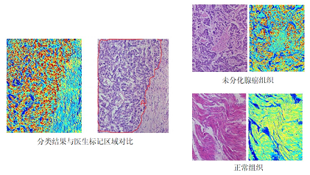 彩谱台式分光测色仪CS-820N